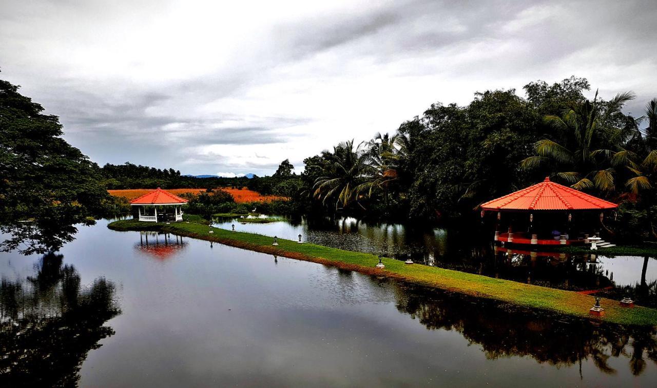 Ayubowan Swiss Lanka Bungalow Resort Bentota Ngoại thất bức ảnh