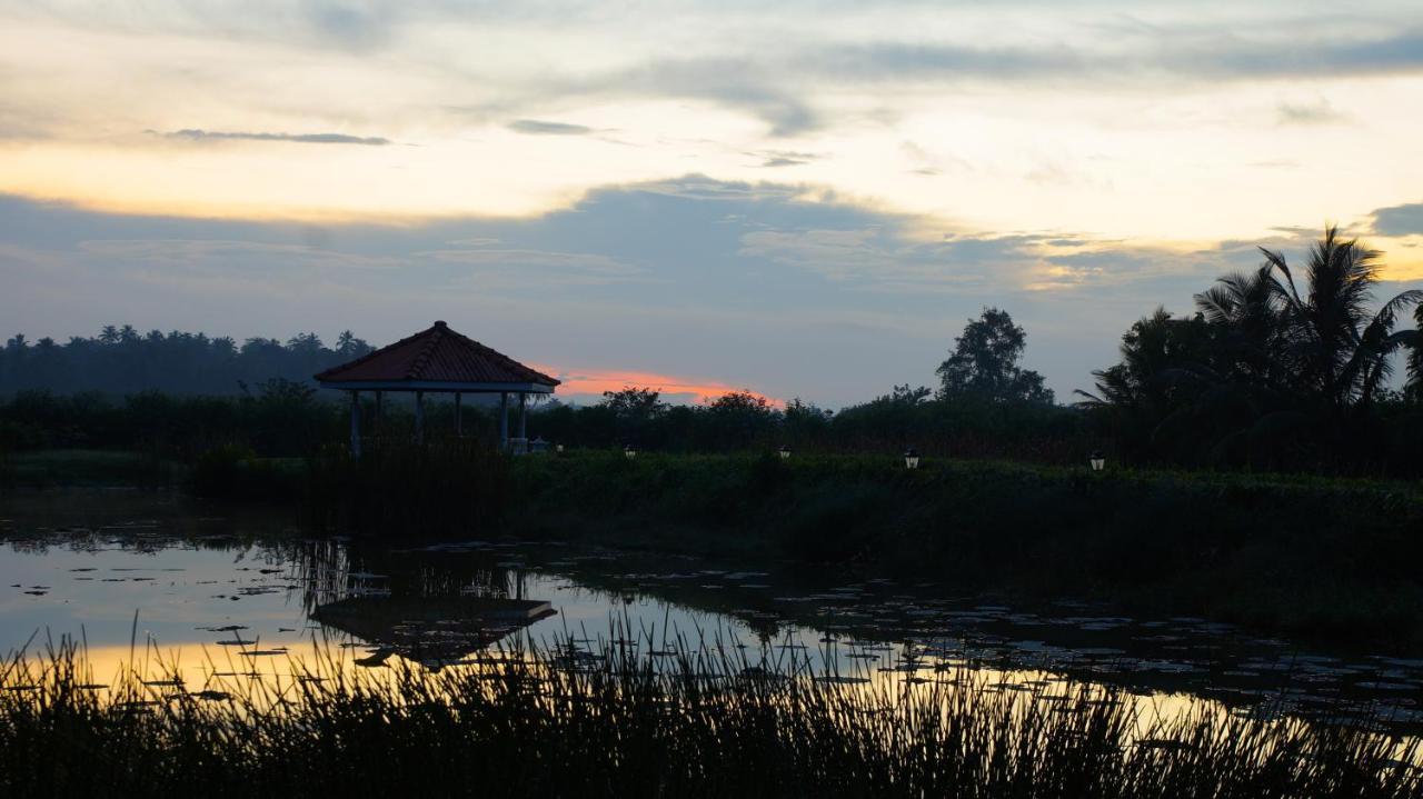 Ayubowan Swiss Lanka Bungalow Resort Bentota Ngoại thất bức ảnh